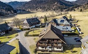 Galeriewohnung in Menzenschwand